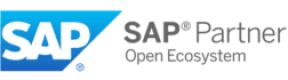 SAP Partner Ecosystem